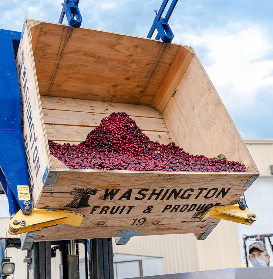 Behind the Scenes: Cherry Processing