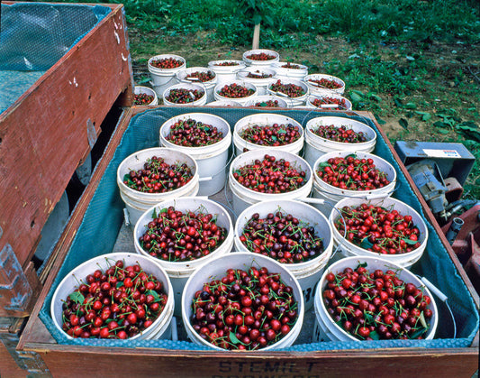 Our 2022 Harvest Roundup