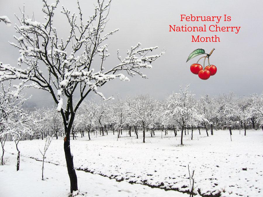 February Is National Cherry Month!