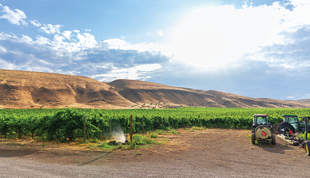Chukar Cherries & Columbia Valley Wine