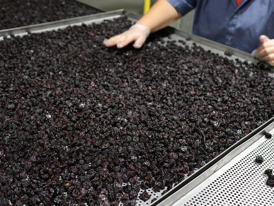 Why We Dry Our Cherries Without Sugar & What That Means for Your Health