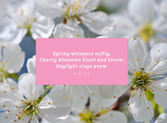 "Cherries in the Spring" Haiku Contest