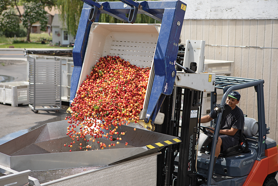 2024 Cherry Harvest: A Season of Sweet Success