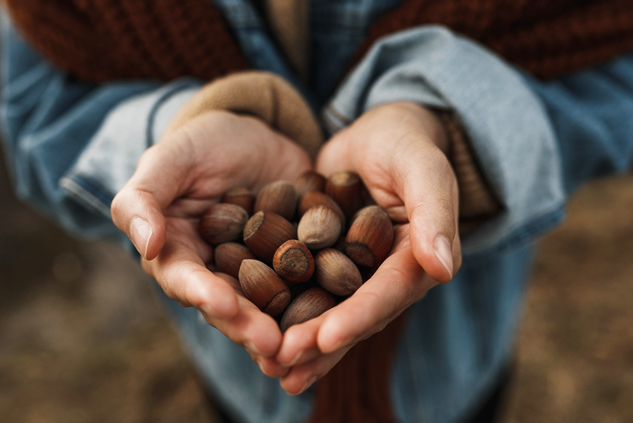 Five Interesting Facts About Northwest Hazelnuts