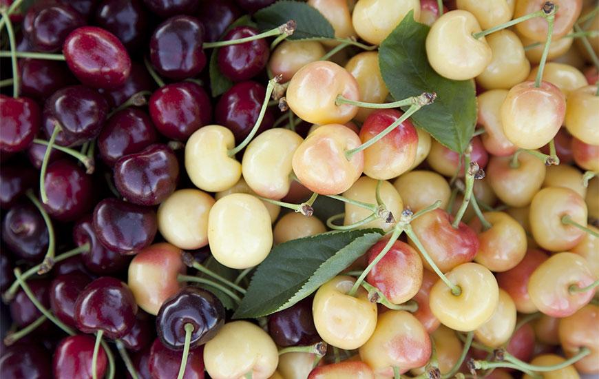 Cherries and Your Health