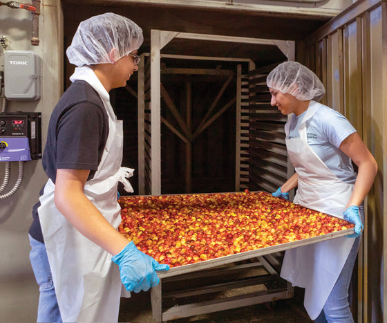 Chukar Cherries Dehydrates Record-Breaking 2025 Northwest Cherry Crop