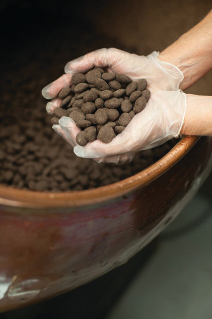 Gloved hands holding chocolate covered cherries in front of a copper kettle.