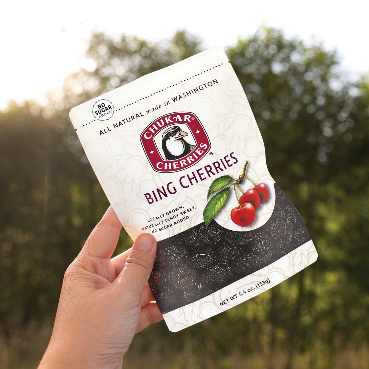 Hand holding bing cherries bag