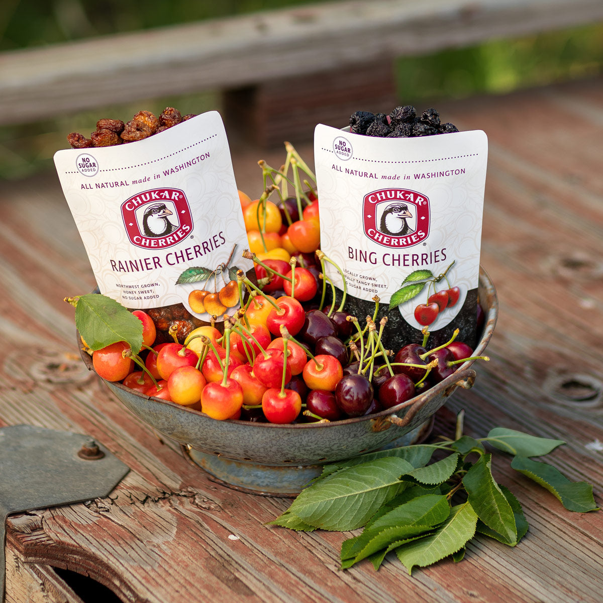 Bags of open rainier and bing cherries in bowl with fresh cherries