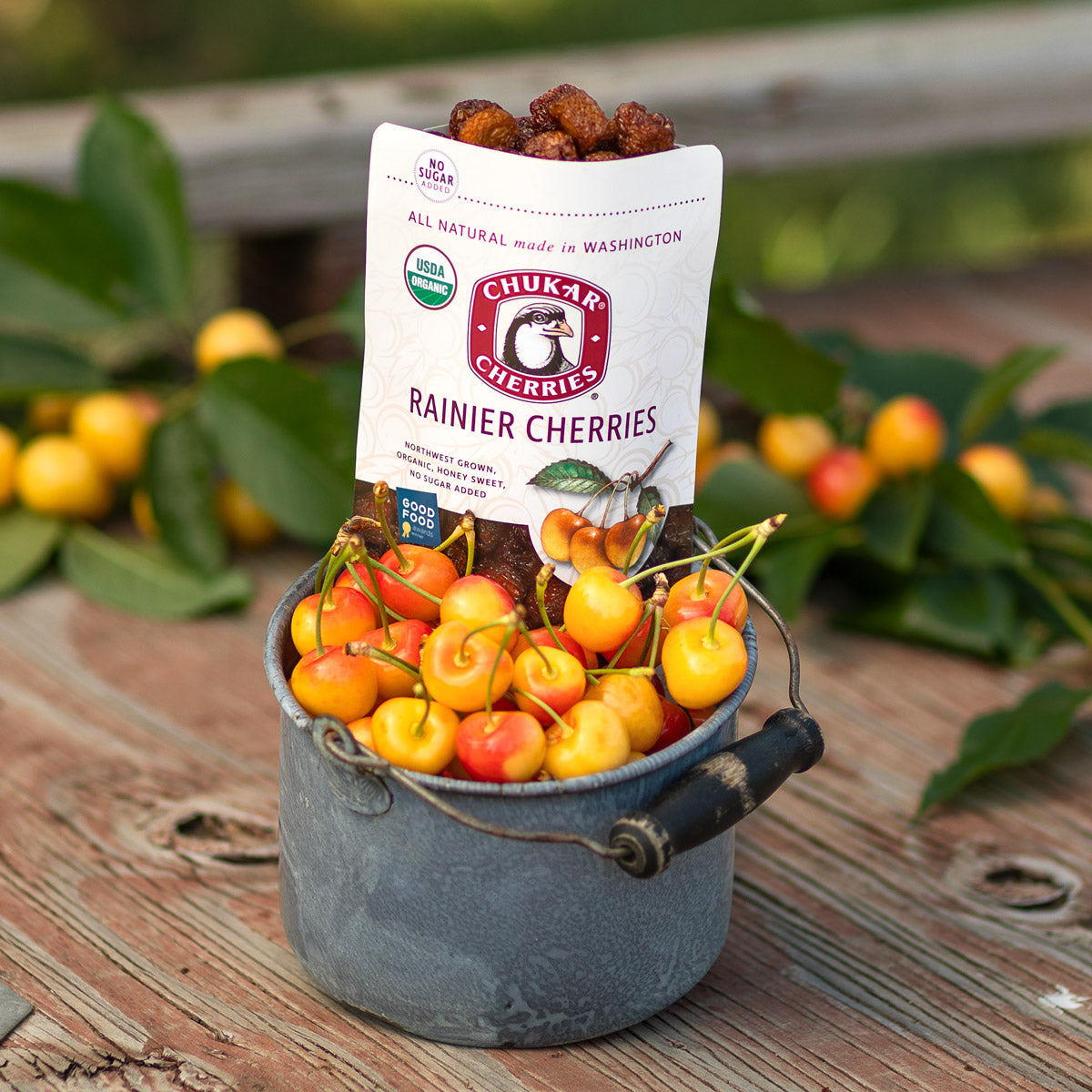 Organic Rainier Cherries - Dried Sweet Cherries Without Sulfites