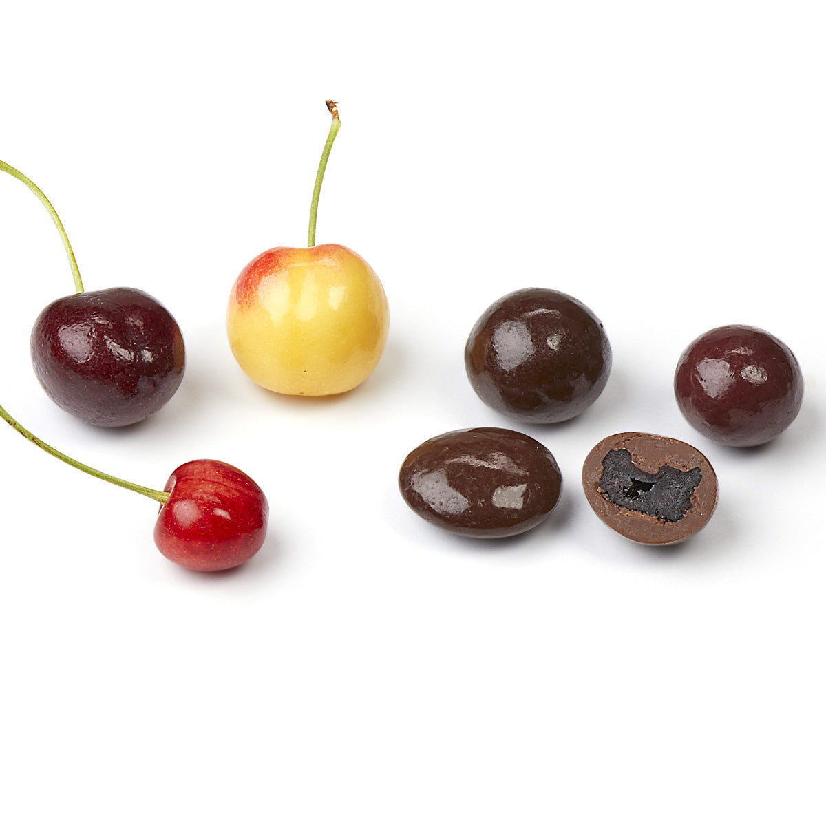 Fresh cherries and cross-section of chocolate covered dried cherries