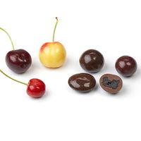 Fresh cherries and cross-section of chocolate covered dried cherries
