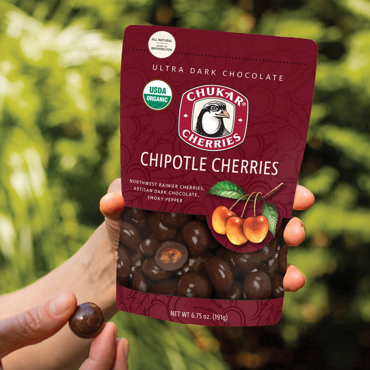 ORGANIC Chocolate Chipotle Cherries – Chukar Cherries