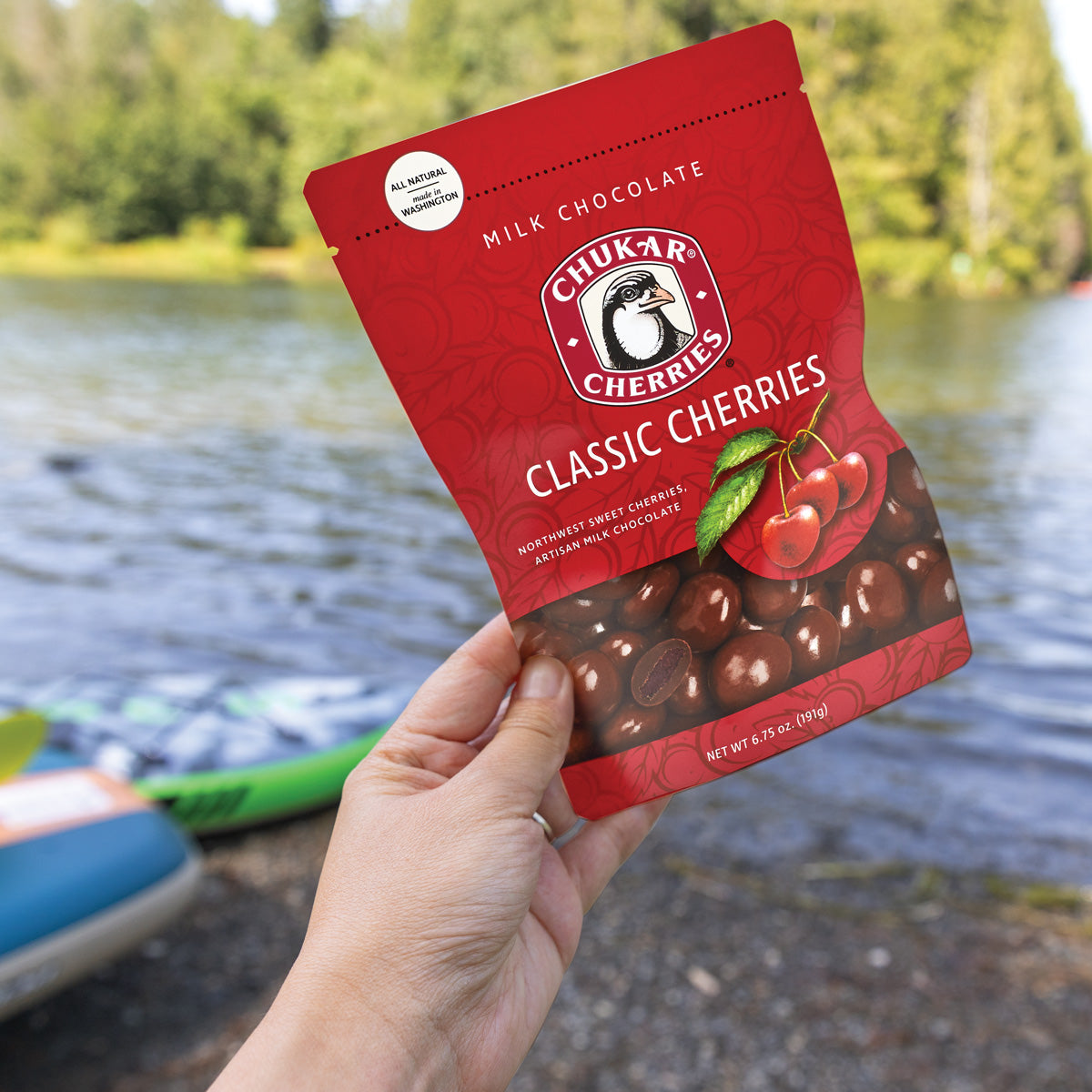 Classic milk cherries being held in human hand with river in background