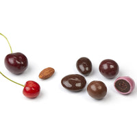 Fresh nut and cherries; and cross-sections of chocolate covered nut and dried cherries