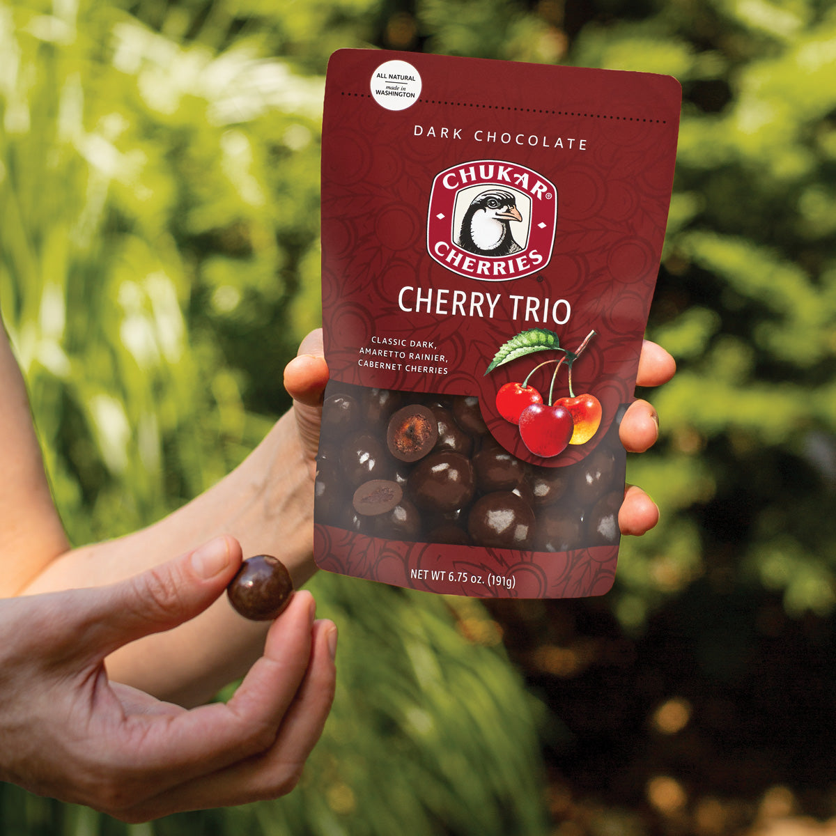 Cherry trio bag and single cherry being held by hands
