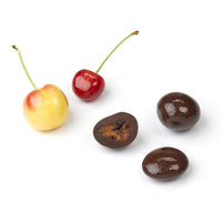 Fresh cherries and cross-sections of chocolate covered dried cherries