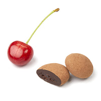 Fresh tart cherry and cross-section of chocolate covered dried cherry
