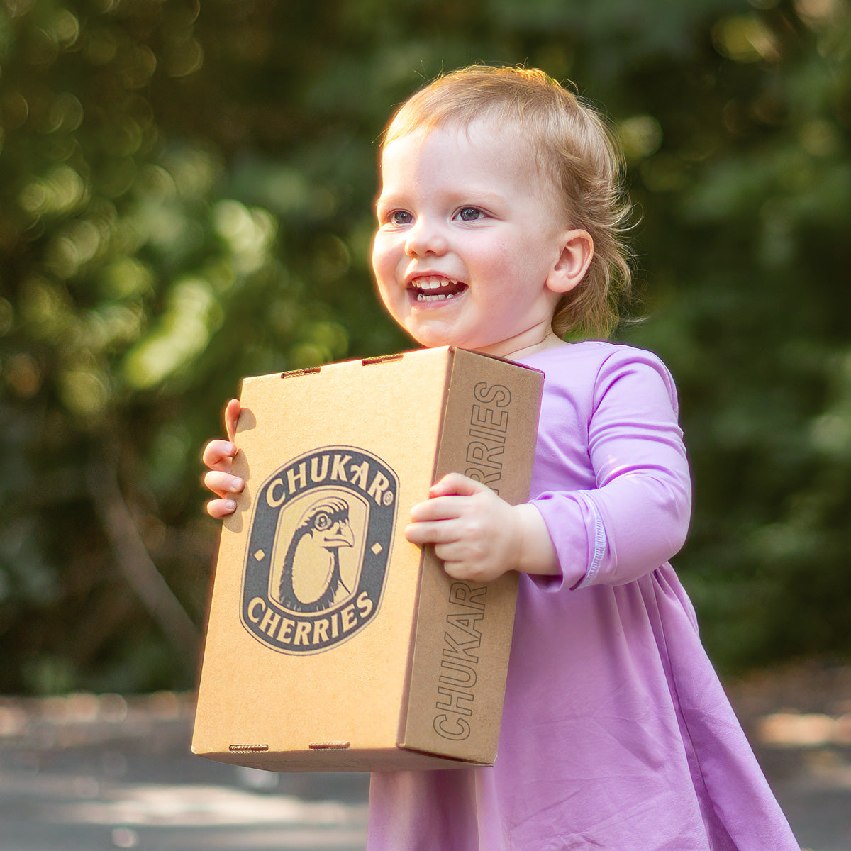 Cheerful little girl holding chukar cherries box