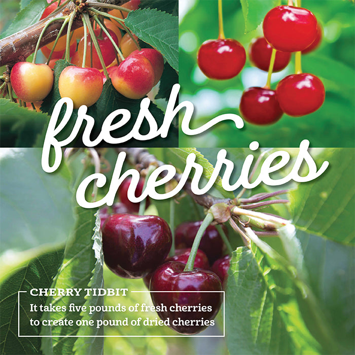 Triple Cherry Nut Classic Tin - Dried Cherry Snack Mix – Chukar