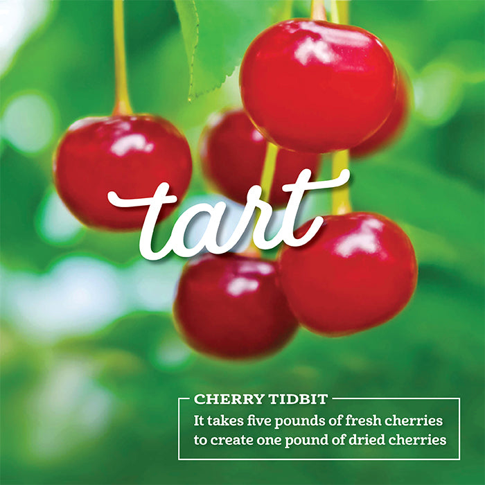 Fresh tart cherries in an orchard
