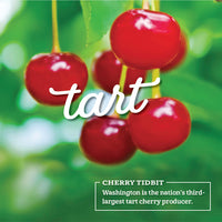 fresh sour cherry in an orchard